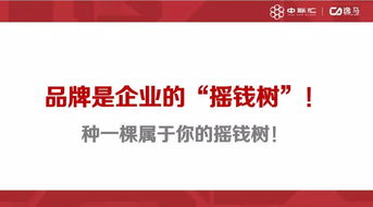 連鎖標準化,品牌連鎖化